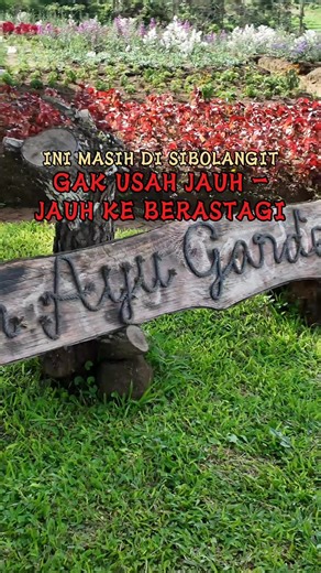 Resto Jepang dengan Taman Bunga Cantik di Sibolangit