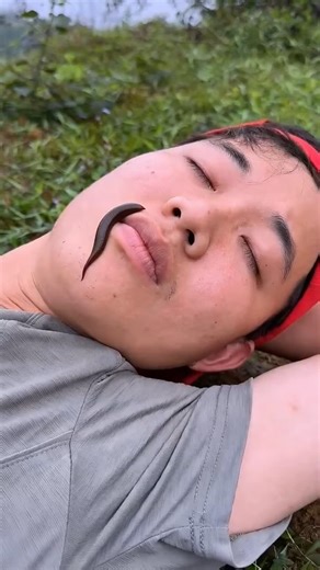 Survival Skills: Useful and Clever #outdoors#survival #campfire #bushcraft#asmreating