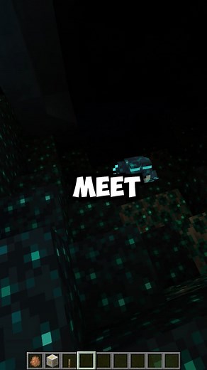 Minecraft's Newest Frogs!
