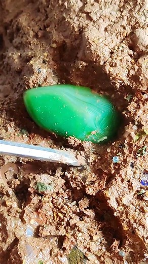 Crystal hunting in forgotten mines: The ultimate guide。Rainbow Beach's Crystal Secrets