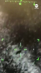 8K views · 131 reactions | A lion escaped from a circus near Rome, sparking panic in the seaside town of Ladispoli before being caught. https://abcnews.visitlink.me/ggOIjU | ABC News | Facebook