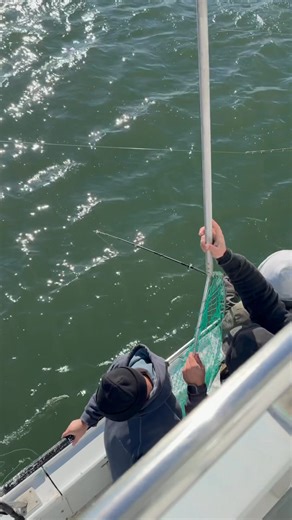 Queen Mary Party Fishing Boat and Charters on Reels