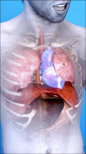 14K views · 30 reactions | Life-Saving Steps for a Punctured Lung #EmergencyResponse #FirstAidGuide #TraumaCare #HealthEducation #MedicalReels | Mix Dancing Events | Facebook