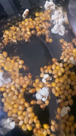 “Popcorn Blooming in Slow Motion #popcornasmr, #slowmotionasmr, #visualasmr, #relaxing, #satisfying