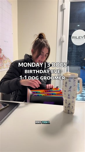 Celebrating My Birthday with Dog Grooming Tips