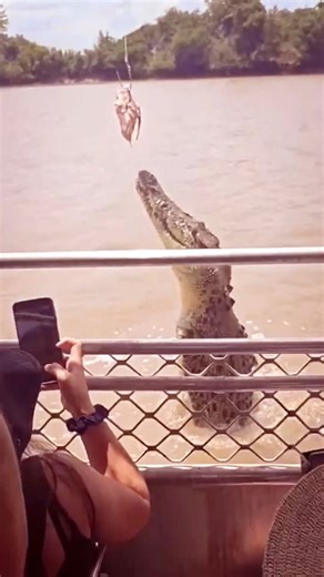 Australia tour DAY OFF in Darwin. Holy smokes this was insanely amazing! 😱😍 | Mario the Maker Magician