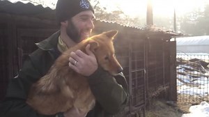 3.7K views · 194 reactions | It's so exciting to see empty cages. Dogs, like all other sentient beings, should be free!  Via Humane Society International | Challenge 22 | Facebook