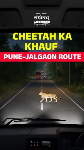 Our drivers don’t stop randomly — it’s for your safety, not stubbornness. 🚍💪 Because your safety is the destination that matters most. ❤️ #SafeTravels #PassengerSafetyFirst #ResponsibleDriving #SangitamTravels #SafetyMatters #TravelWithCare #YourSafetyOurPriority | Sangitam