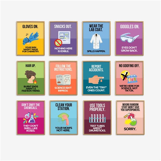 Funny Science Lab Safety Rules Posters, Chemistry Classroom Poster, Science Lab Class, Classroom Decor, Lab Decor, Science Teacher Gift - Etsy