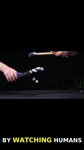 Revolutionary 3D Printed Robotic Hand - Orca by ETH Zurich