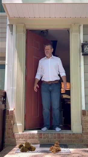 Dogs Pooping in front of the porch