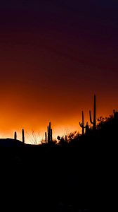 3 reasons you should register for the Arizona Monster 300, filmed...