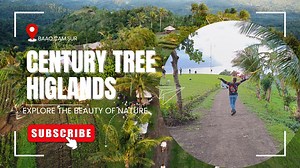 Century Tree Highlands located at Antipolo, Baao, Camarines Sur. Just pure beauty,nature and thrilling experience. The Century Tree in Baao,Cam.Sur is believed to be over a hundred years old and is an stunning attraction. It is a balete tree and a symbolism of strenght and loyalty. This place is perfect for relaxation,exploration,picnic or just a leisurely stroll with your friends or loved ones😊 #centurytree #baaoCamSur #Bicol #coupleriders #nature #rmledbrackets #djimini2se Century Tree Highla