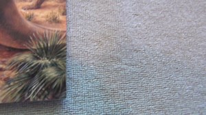 Watch Dinosaurs Calendar 1990 on Amazon Live