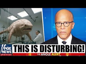 This Underwater Footage of Great White Shark Hybrid in Bermuda Triangle Left Experts Terrified!