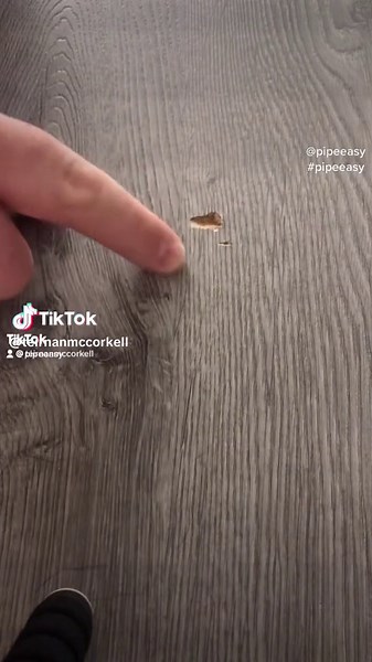 ✍🏻 Laminate Flooring repair ✅ #flooring #repair #howto #diy #tip #tricks #floor #teirnanmccorkell #perfect #hack #home #tips