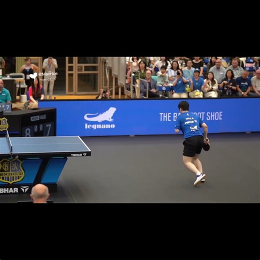 Slow Motion 1#fanzhendong