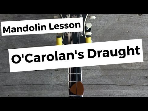O'Carolan's Draught: Mandolin Lesson