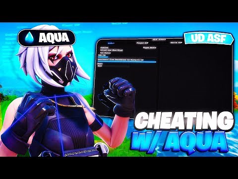 I Used the SAFEST Fortnite Cheats In 2026! (Best Fortnite Hack)