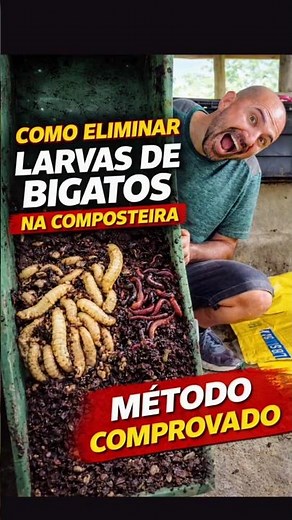 Did you find maggot larvae in your compost bin? Don't worry...