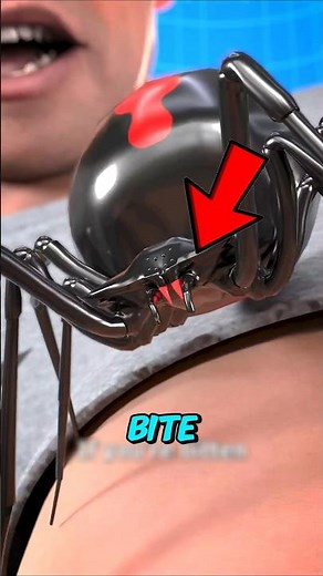 If You Ever See a Black Widow Spider, Watch This First