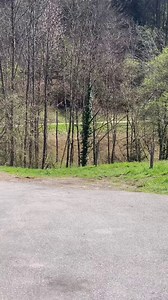 9.2K views · 151 reactions | [ARCHIVES] Comme expliqué le 30 décembre, nous serons pas présent au Monte-Carlo cette année et cela depuis 2020, car le WRC, et surtout le rallye Monte-Carlo ne correspond plus vraiment à notre passion et pourquoi on se déplace... En contre-partie on re-propose de revenir 10 ans en arrière avec le Monte-Carlo 2014 et où on peut retrouver un vrai plateau et 90 engagés !! Profitez de ce bon vieux temps  | Rallye-Start | Facebook