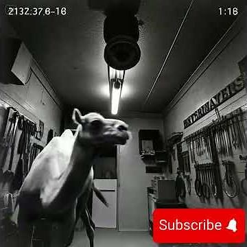 10 Strange Moments Caught on Surveillance Cameras | Weird CCTV Footage Compilation