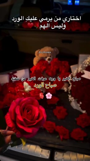 #صباح_الخير #عباره_جميلة🦋💙 #منشنوهم #🤎🌸 #تصميم_فيديوهات🎶🎤🎬تصميمي🔥_استوريات