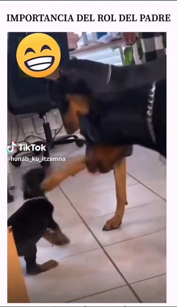 Hunab Ku Itzamná on TikTok