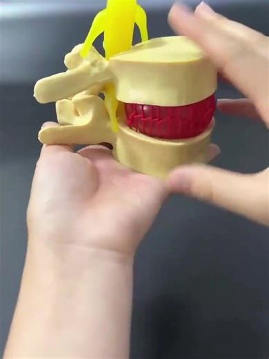 💉 Nurse training made easy! Practice IV insertion, venipuncture, and intramuscular injection with this realistic arm model. Perfect for medical students, nursing schools, and healthcare training programs. 🩺 #NurseLife #NursingSchool #MedicalStudent #IVTraining #HealthcareEducation