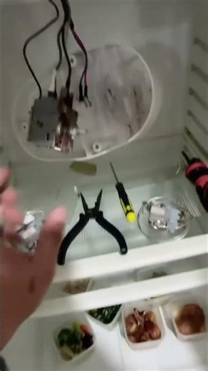 الثلاجه منورة ومش شغالة #shorts