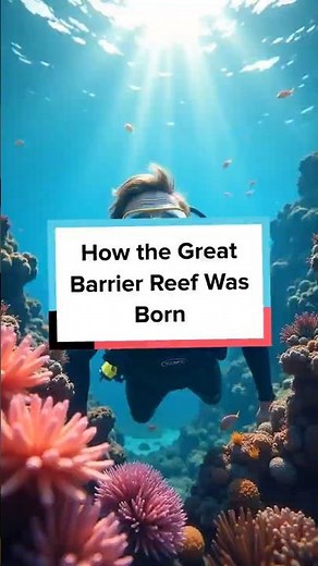 How the Great Barrier Reef Was Born