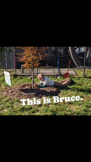 19 reactions | We have two tree planting dates coming up - the 8th...