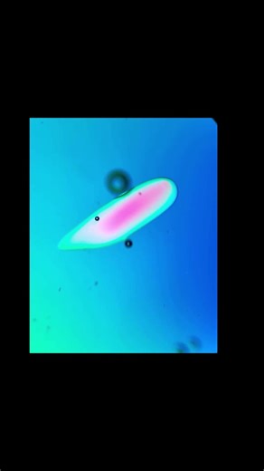 𝐒𝐍𝐎𝐖𝐅𝐋𝐀𝐊𝐄 𝐒𝐂𝐈𝐄𝐍𝐂𝐄