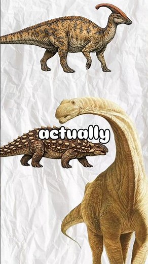 The 3 Major Dinosaur Types Explained