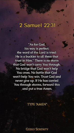 2 Samuel 22:31 | Godly Serenity