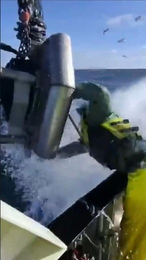 Ask an Alaska fisherman why they're tough.They'll show you this video. #fishing