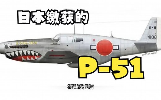 “日之丸”下的“野马”——记日本缴获的北美P-51“野马”战斗机简史