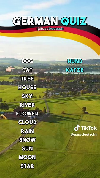 Learn German Quick: Easy Words Translation