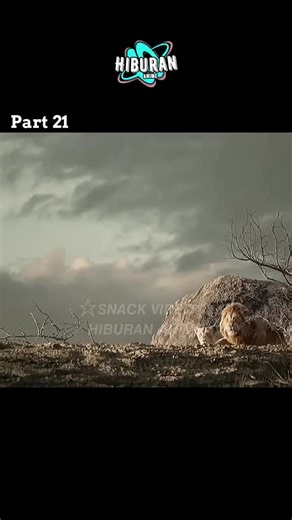 simba sang raja hutan rimba#fyp #simba