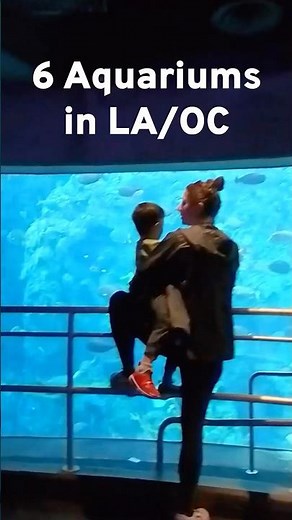 🐟6 Aquariums in LA/OC