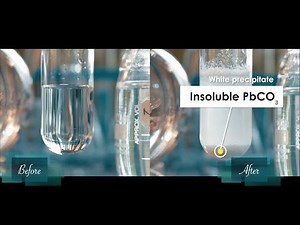 Double displacement Lead II nitrate (Pb(NO3)2 & Sodium bicarbonate NaHCO3 | Pb(NO3)2+NaHCO3
