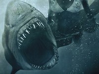Five Clips from Shark Night 3D - Daily Dead