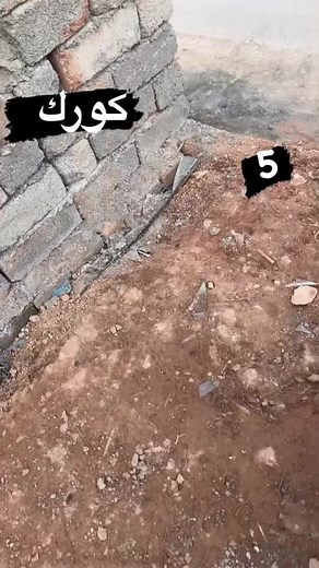 Wolves Behind Gates: A Glimpse into Their Struggle