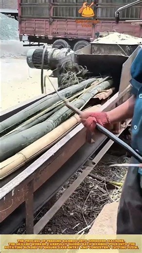Feeding Bamboo into Shredder for Material Processing
