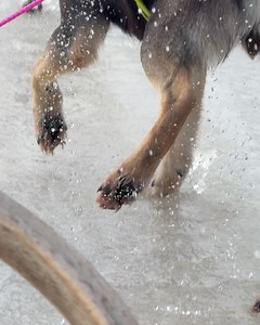 34 reactions | Petra Marklund on Reels | Facebook