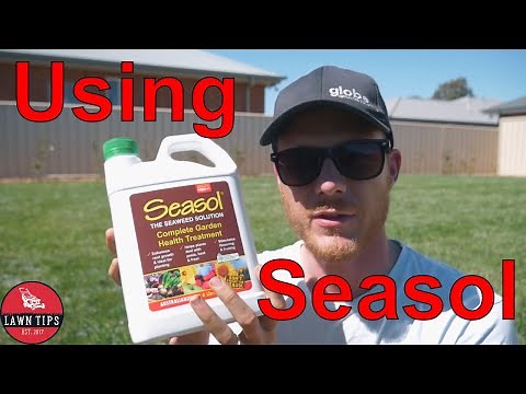 Why You Should Use Seasol On Your Lawn