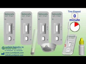 Salmonella typhi Antigen Test