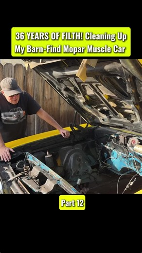 Cleaning Moldy Super Bee Interior and Underside Degrease Plan