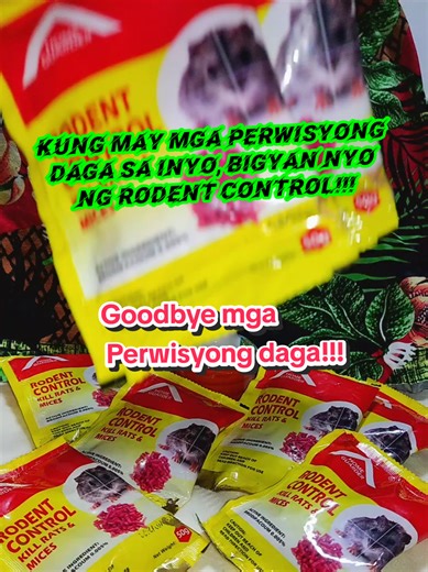 Effective Rodent Control Solutions for Your Home